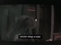 200w.gif
