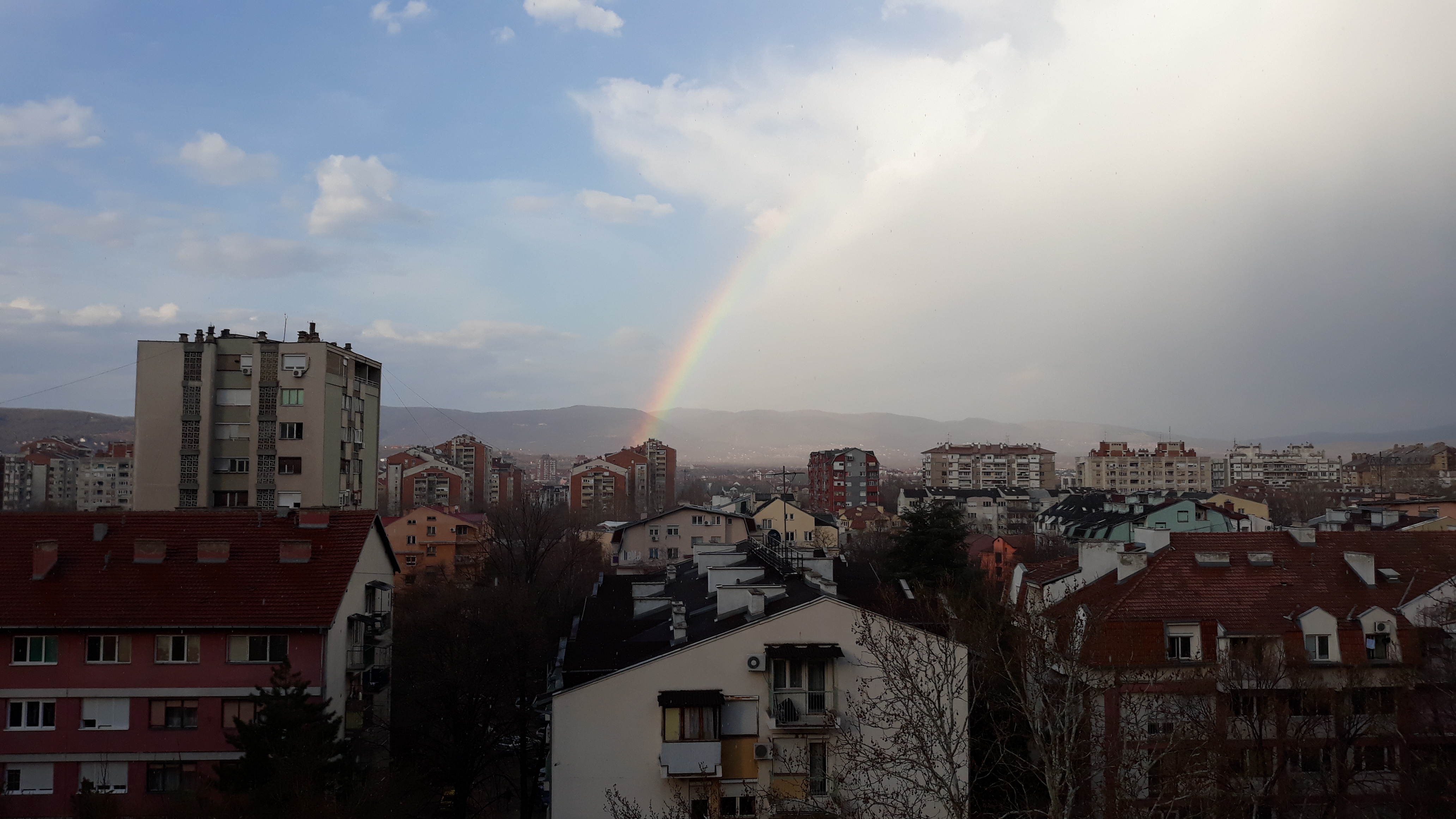 20190309_160705.jpg