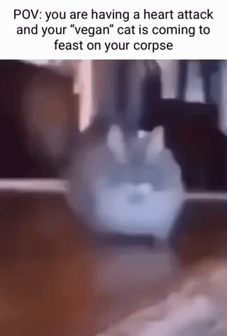 94BC003D-BD7C-4569-9230-A90463439FBA.gif