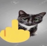 9F290FCC-7A42-4CEA-8148-D73F97BD3433.png