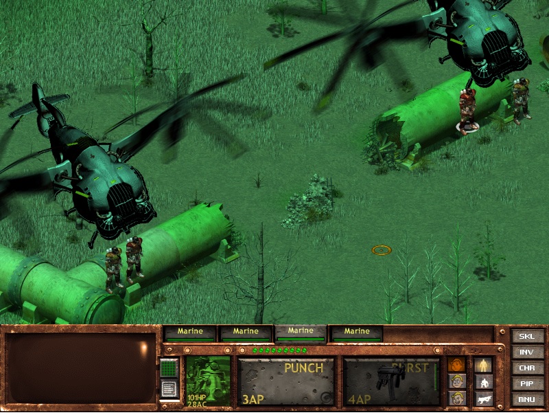 bug3.jpg
