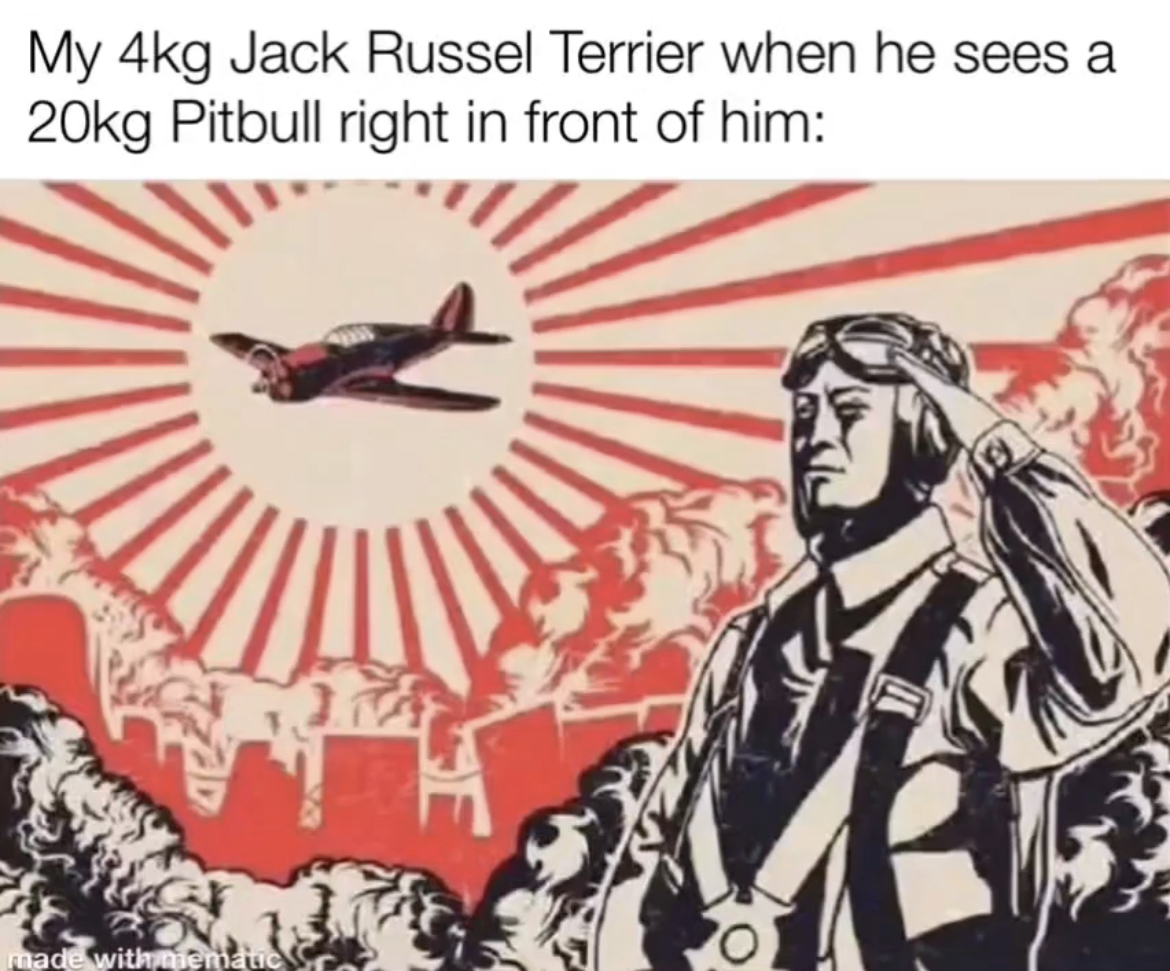 C2BB997F-15D9-4D5B-980F-3F16A14432A0.jpeg