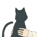 Caturbate.gif