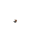 chkn (1).gif