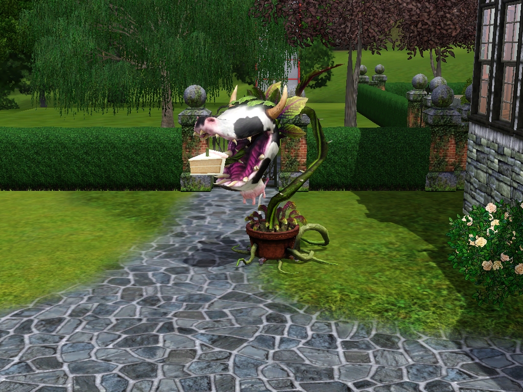 cowplant.jpg