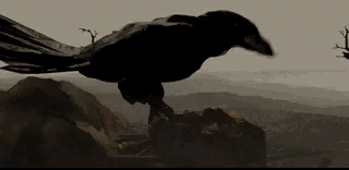 Diablo 1 Raven_Opt_Cull.gif