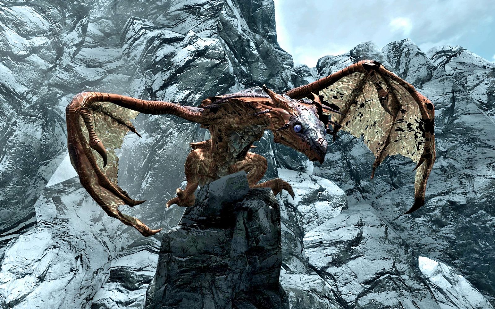 Dragon_TopOne.jpg