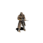 ezgif.com-gif-maker(12).gif