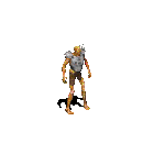 ezgif.com-gif-maker(3).gif