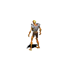 ezgif.com-gif-maker.gif