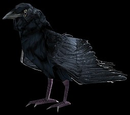 Obsidian_modeling.jpg