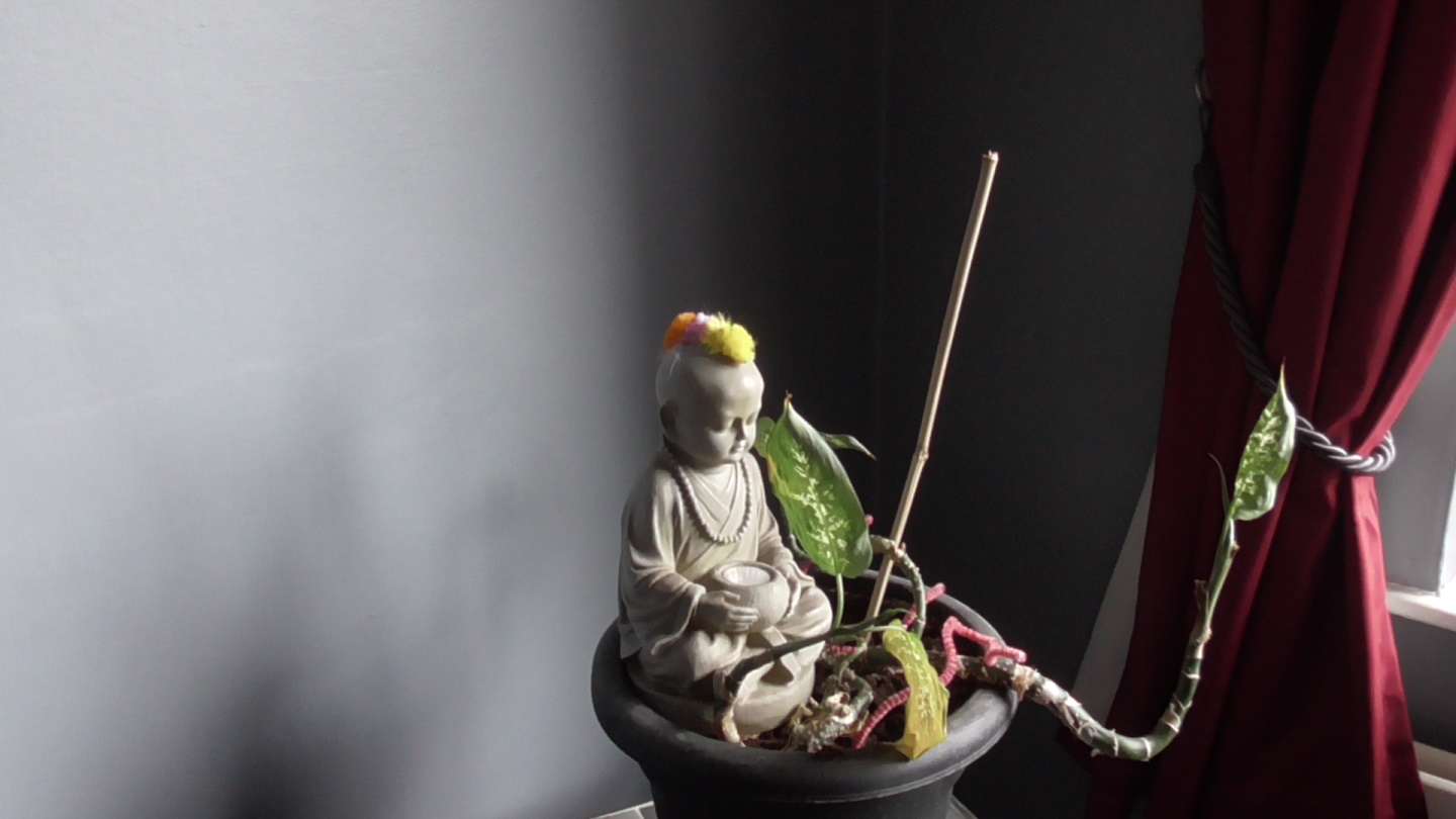 PunkBudda pure junglist.jpg
