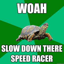 slow down.jpg