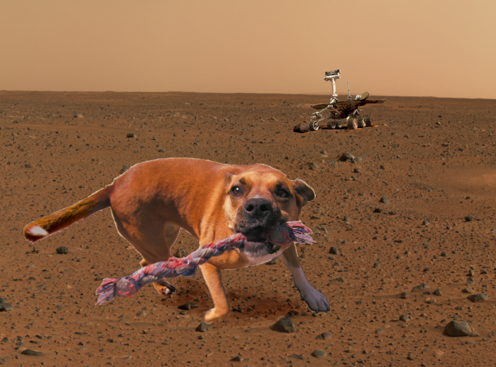 Spirit_Rovers Plus.png