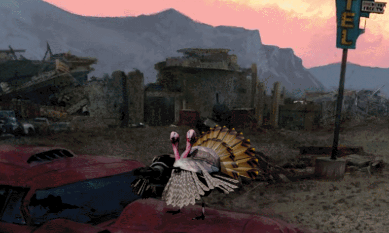 Turkey_Day2.gif