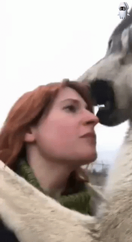 WolfKiss.gif