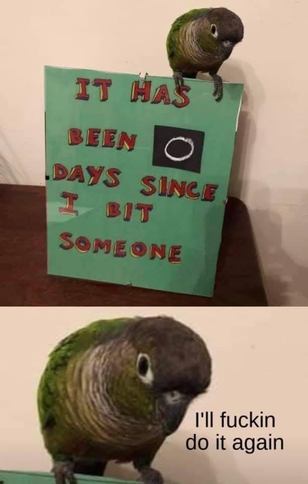 Zero Days Since I Bit Someone.jpg
