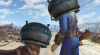 fallout.4.pot.png
