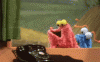 image.gif