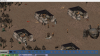 Screenshot (5).png