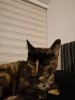 IMG_20200924_201303.jpg