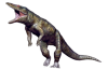 Caiman.png
