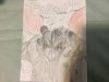 IMG_4442.jpeg