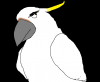 Cockatto.png