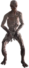 1000004743.webp