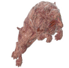 1000004748.png