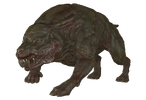 1000004747.webp