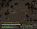 Tarantulas2.png