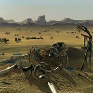 TheDesertExplorer