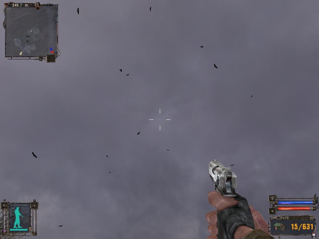 S.T.A.L.K.E.R. screenshot with circling crows. Creepy.