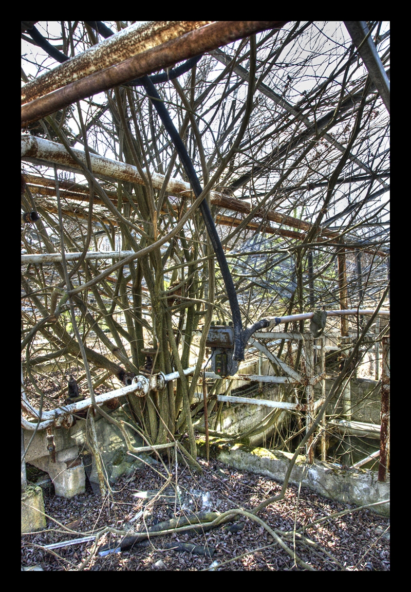 Taken during a tour of Pripyat, Ukraine.