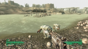 Mirelurk