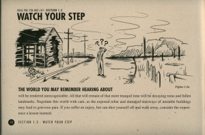 Vault Dweller's Survival Guide #10