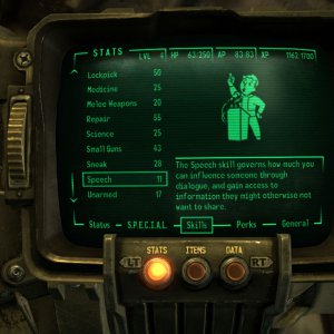 Pipboy Skills