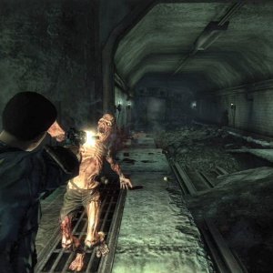 More point-blank ghoul shooting
