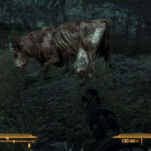 Brahmin