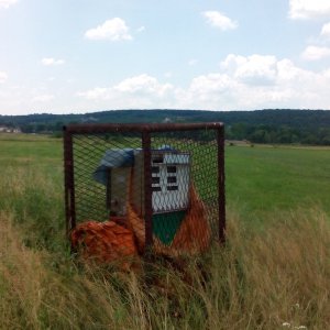 Zapušteno 1