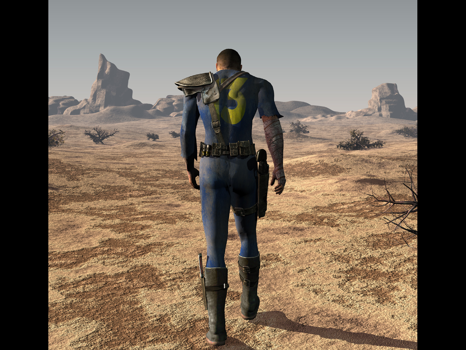 Walking into the desert