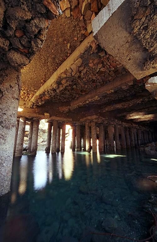 75_hashima_75269.jpg