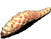 GCQcT.gif