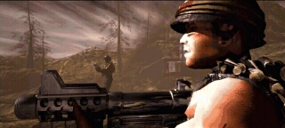 survinf2.jpg