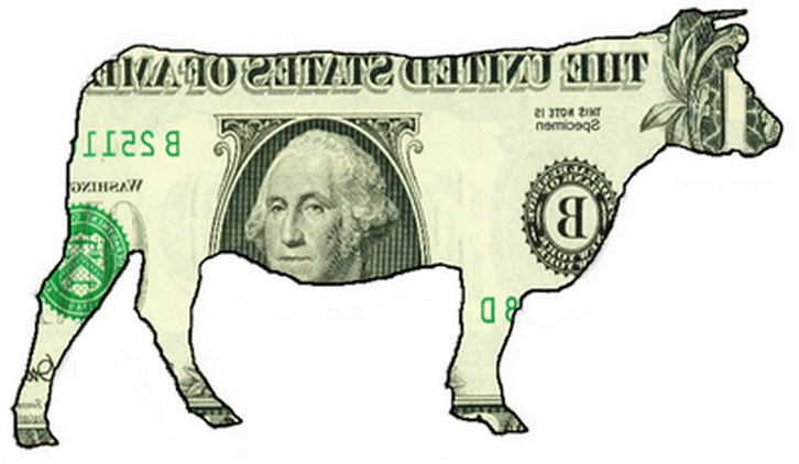 cashcow-e1433131582818.png