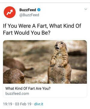 buzzfeed.jpg