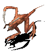LIpok.gif