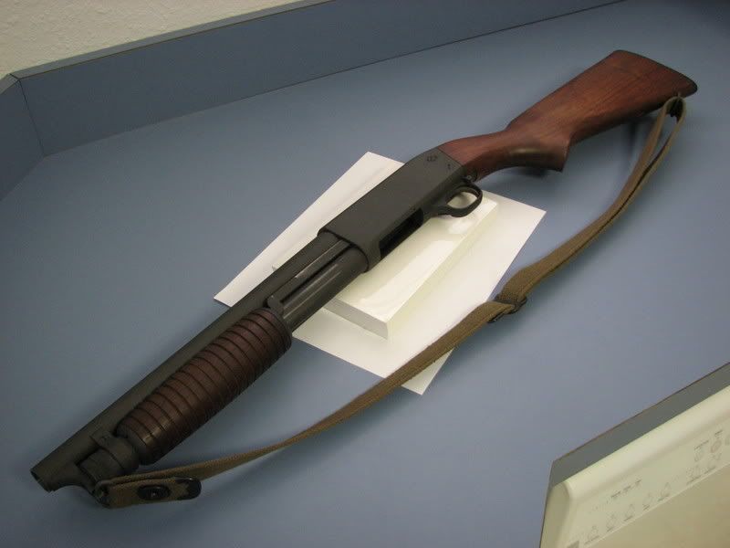 ithaca_shorty.jpg