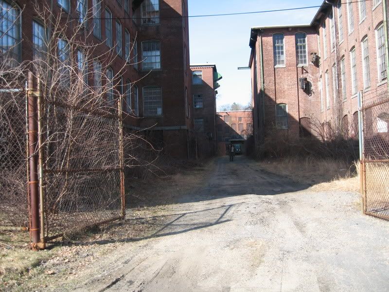 IMG_0831.jpg